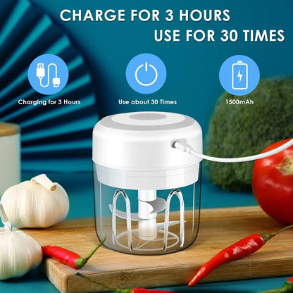 Electric 300ML Garlic Press and Chopper for Vegetables, Fruits, and Meat Mincing